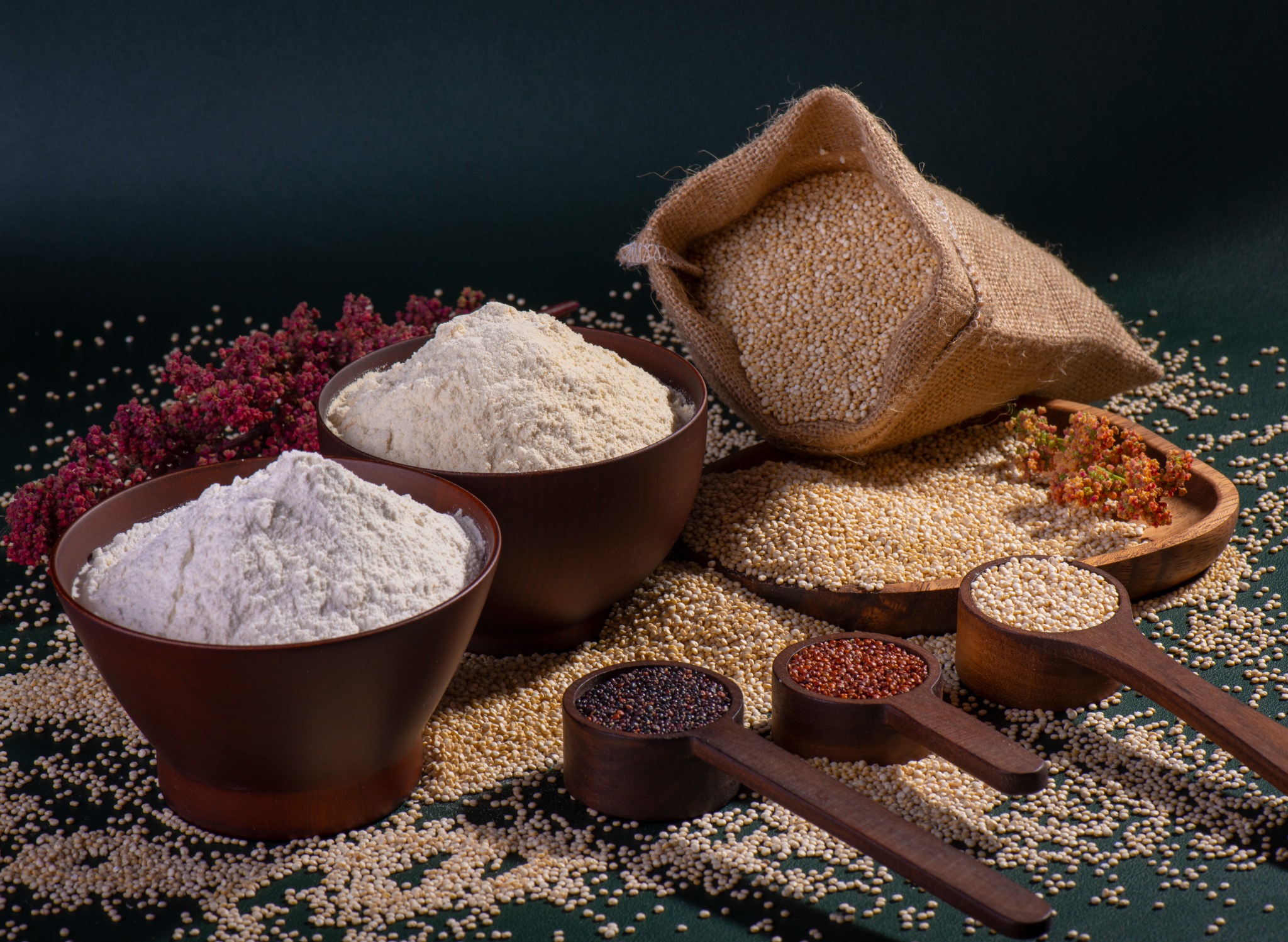 Quinoa grain and flour for food innovation
